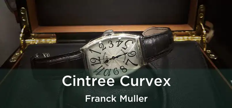  Cintree Curvex Franck Muller