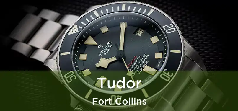 Tudor Fort Collins